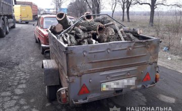 ​На Днепропетровщине 56-летний мужчина незаконного спилил деревья 