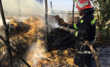 В Кировоградской области во время пожара на сеновале погиб 4-летний ребенок