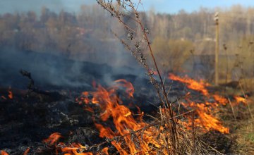 В Днепропетровской области объявили чрезвычайную пожарную опасность