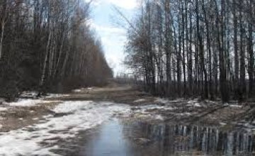 Жители Днепропетровщины заявляют о незаконной вырубке леса в Днепровском районе