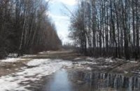 Жители Днепропетровщины заявляют о незаконной вырубке леса в Днепровском районе