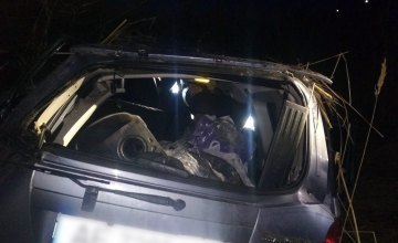 На Днепропетровщине внедорожник вылетел в кювет: пострадавших вырезали из покореженного авто