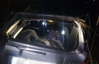 На Днепропетровщине внедорожник вылетел в кювет: пострадавших вырезали из покореженного авто