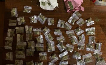 80 пакетиков марихуаны: в Кривом Роге мужчина хранил у себя дома наркотики