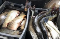 Полицейские Днепропетровщины изьяли около 100кг  незаконно выловленной рыбы различных пород (ФОТО)