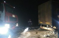 ​На Днепропетровщине спасатели из снежного заноса вытащили грузовик (ФОТО)