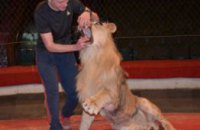 Помощника дрессировщика из Кривого Рога в цирке растерзал лев