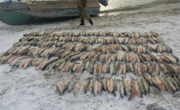  В Запорожской области поймали браконьеров, которые наловили рыбы почти на четверть миллиона гривен
