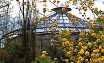 В Днепропетровском ботаническом саду проходит капитальный ремонт оранжереи