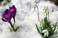 В 2015 году на Днепропетровщине календарная весна совпадает с метеорологической, - Гидрометцентр