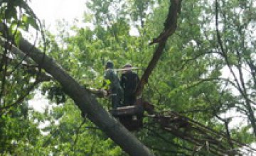 В Индустриальном районе Днепропетровска ураганный ветер повалил деревья и нарушил наружное освещение