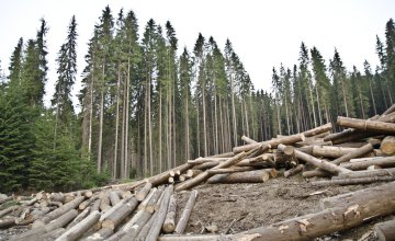 На Днепропетровщине преступная группировка, незаконно сбывая лес, нанесла государству более 2 млн грн убытков