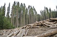 На Днепропетровщине преступная группировка, незаконно сбывая лес, нанесла государству более 2 млн грн убытков
