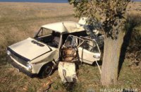 ​Смертельное ДТП в Одесской области: водитель не справился с управлением и врезался в дерево (ФОТО)