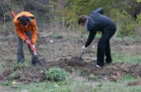 Завтра в Молодежном парке Днепропетровска Иван Куличенко посадит клены и рябины