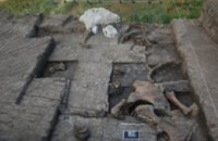 В Греции нашли остатки слона, которым более 300 тыс лет