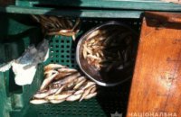 В Запорожской области на территории заповедника браконьеры ловили рыбу