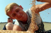 Аграрии Днепропетровской области испытывают проблемы с реализацией зерна