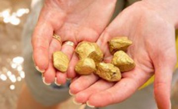 В Днепропетровской области до конца года начнут добывать золото
