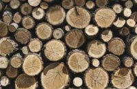 На Днепропетровщине директор лесного хозяйства требовал 200 тыс. гривен за незаконную продажу дерева