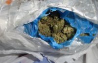 В поезде «Кривой Рог - Москва» пограничники нашли у украинки почти 2,5 кг наркотиков