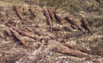 В Криничанском районе «Поиск-Днепр» нашел 44 боеприпаса