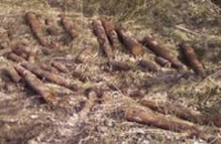 В Криничанском районе «Поиск-Днепр» нашел 44 боеприпаса