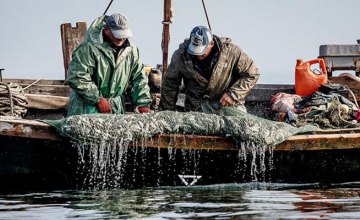 В Украине существенно увеличились штрафы за незаконный вылов рыбы: за одного окуня в 186 раз, за серебристого карася в 96