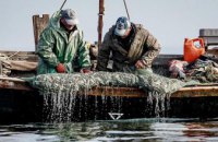В Украине существенно увеличились штрафы за незаконный вылов рыбы: за одного окуня в 186 раз, за серебристого карася в 96