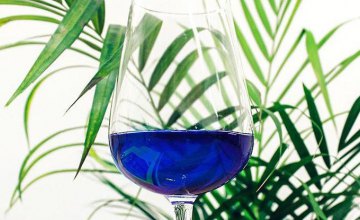 В Испании создали вино ярко-синего цвета (ФОТО)