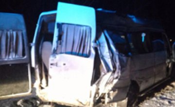 В Днепропетровской области маршрутка столкнулась с грузовиком: пять человек погибло, семь пострадало (ФОТО)
