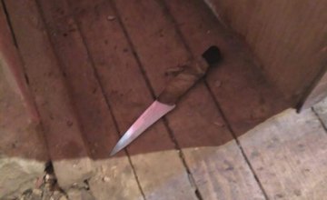 В Закарпатской области 10-летний мальчик ударил ножом сверстника 
