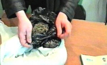 Милиция обнаружила 230 кг конопли в квартире жителя Кривого Рога