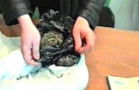 Милиция обнаружила 230 кг конопли в квартире жителя Кривого Рога
