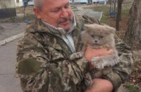 На Днепропетровщине спасли кота, который 3 дня не мог спуститься с высокого дерева (ФОТО)