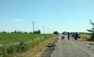 ​В Запорожской области в смертельном ДТП погиб водитель мопеда