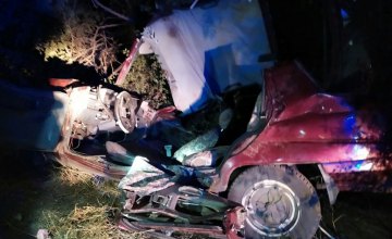ДТП в Криворожском районе: из покореженного авто спасатели вырезали двоих человек