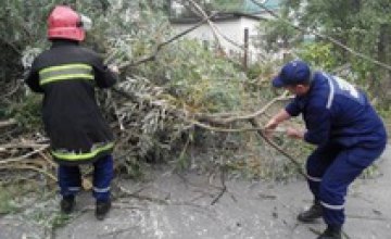 В результате урагана на Львовщине обесточены более сотни населенных пунктов