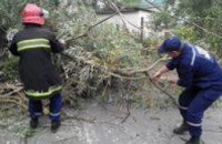 В результате урагана на Львовщине обесточены более сотни населенных пунктов