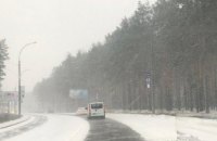 В Киеве выпал первый снег (ФОТО)