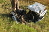 В Черниговской области автомобиль ВАЗ врезался в дерево: 3 человека погибло на месте