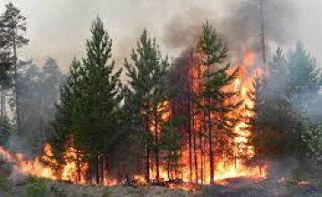 В Днепропетровской области за текущую неделю зафиксировано 4 пожара в экосистемах