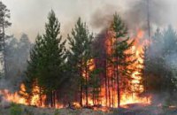 В Днепропетровской области за текущую неделю зафиксировано 4 пожара в экосистемах