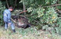 В Черкасской области Jaguar вылетел в кювет: погибли 4 человека