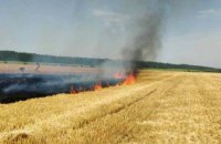 На Днепропетровщине сгорело 2.5 га озимой пшеницы