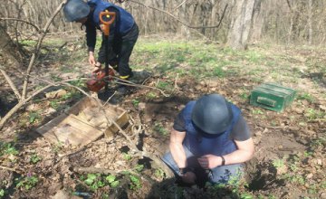 На Днепропетровщине во время работы на участке, мужчина нашел 26 мин