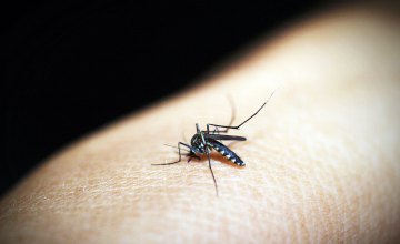 ​В 2018 году в Днепропетровской области не зафиксировано ни одного случая малярии
