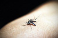 ​В 2018 году в Днепропетровской области не зафиксировано ни одного случая малярии