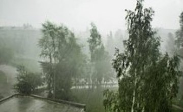 В Днепропетровской области объявлено штормовое предупреждение