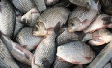 Днепропетровцам на протяжении 70 дней разрешили рыбачить только в специально отведенных местах